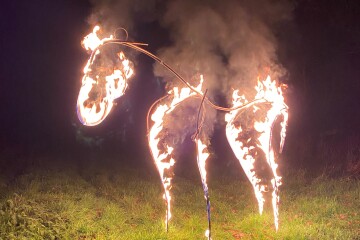 Marsh Ponies 2